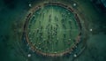 Sports team playing soccer on green grass, viewed from above generated by AI