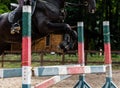 Sportsman on horse overcomes barrier