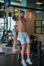 Sportsman muscular man workout in gym. Athletic man exercising with dumbbell. Fitness, sports concept, sport club Royalty Free Stock Photo