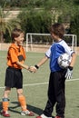 Sportsmanship handshake Royalty Free Stock Photo