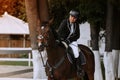 The sportswoman on a horse. . Equestrianism. Horse riding. Horse racing. Rider on a horse