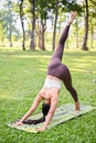 Sporty Asian woman practicing yoga in the park, doing One legged downward facing dog yoga pose Royalty Free Stock Photo