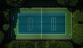 Sporty excitement on green grass court outdoors ,generative AI