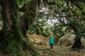 Sporty girl walking in Fanal forest,Madeira,Portugal.Protected landscape,old laurel and cedar trees,green lush nature.Picturesque