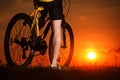 Sporty Man Riding a Bicycle on the Country Road. Royalty Free Stock Photo