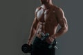 Sporty torso, man with dumbbells. Power, strength and healthy lifestyle, sport. Powerful attractive muscular man trainer Royalty Free Stock Photo
