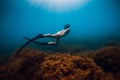 Sporty woman freediver with fins glides underwater in blue sea Royalty Free Stock Photo