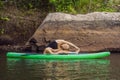 Sporty woman in yoga position on paddleboard, doing yoga on sup board, exercise for flexibility and stretching of Royalty Free Stock Photo