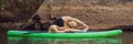 Sporty woman in yoga position on paddleboard, doing yoga on sup board, exercise for flexibility and stretching of Royalty Free Stock Photo