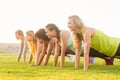 Sporty women doing push ups during fitness class Royalty Free Stock Photo