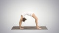 Sporty yoga girl performing Chakrasana Urdva Dhanurasana Wheel P