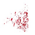 A spot of blood. Stains blood splatter. spray. Vector illustration on isolated background.