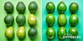 Spot the Subtle Differences A DronesEye View Challenge Featuring Two Adorable Green Avocados A Fun Visual Puzzle Royalty Free Stock Photo