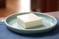 a spotless ceramic soap dish with a new bar of soap