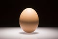 Spotlight egg