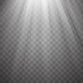 Spotlight rays with beams on transparent background. Flash light Vector