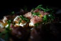 Culinary scene with fresh ingredients. Dramatic food styling of prosciutto and arugula for blogs Royalty Free Stock Photo