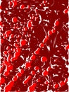 Spots of blood on dark red background