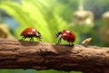 animal nature summer leaf insect red spring ladybug beetle macro. Generative AI. Royalty Free Stock Photo