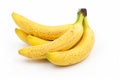 Spotted bananas. Ripened Cavendish bananas isolated on white with shadows