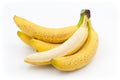 Spotted bananas. Ripened Cavendish bananas isolated on white with shadows