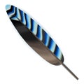 Spotted bird feather