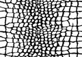 Spotted black and white repeating wallpaper print. Seamless pattern with crocodile or alligator skin print.