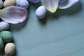 Spotted candy eggs and tulip petals on wooden background