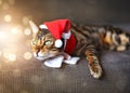 a spotted cat in a santa clause's costume lying on the sofa surrounded by a lot of lights