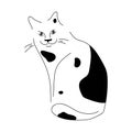 Spotted cat sketch. Black white cat line silhouette. Design for children, print, nursery design, clothes. Cute funny Royalty Free Stock Photo