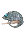 Spotted chameleon on a branch inscribed in a circle