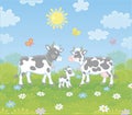 Spotted cow family walking on a green field Royalty Free Stock Photo