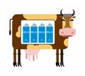 Spotted cow with milk. Packages of milk the cow as in the refrigerator. Milk production from cows. Natural product. Vector