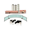 Spotted cows, Livestock farm