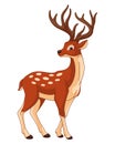 Spotted deer cartoon vector illustration