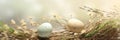 Spotted Easter eggs in natural straw nest with soft dry flowers banner. Panoramic web header. Wide screen wallpaper