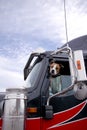 The fighting dog peeks out of the semi truck window protecting i Royalty Free Stock Photo