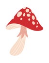 Spotted fly agaric mushroom design Royalty Free Stock Photo