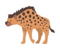 Spotted Hyena African Animal, Wild Predator Jungle Animal Cartoon Vector Illustration Cartoon Vector Illustration