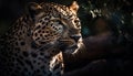 Spotted jaguar staring, danger in its eyes generated by AI