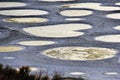 Spotted lake in Okanagan Vallye, Osoyoos, British Columbia. Royalty Free Stock Photo