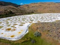 Spotted Lake Osoyoos Okanagan Similkameen Valley Royalty Free Stock Photo