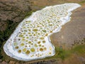 Spotted Lake Osoyoos Okanagan Similkameen Valley