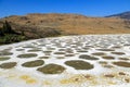 Spotted Lake Osoyoos Similkameen Valley Royalty Free Stock Photo