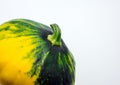 Spotted patty squash on a white background.