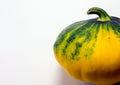 Spotted patty squash on a white background.