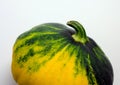 Spotted patty squash on a white background.