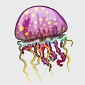 Spotted a pink jellyfish in cartoon style Royalty Free Stock Photo