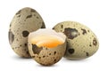 Spotted quail eggs whole and half broken egg with a yolk isolated on a white background. White ?hicken egg smashed. Healthy diet.