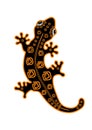 Spotted salamander with pattern on the back